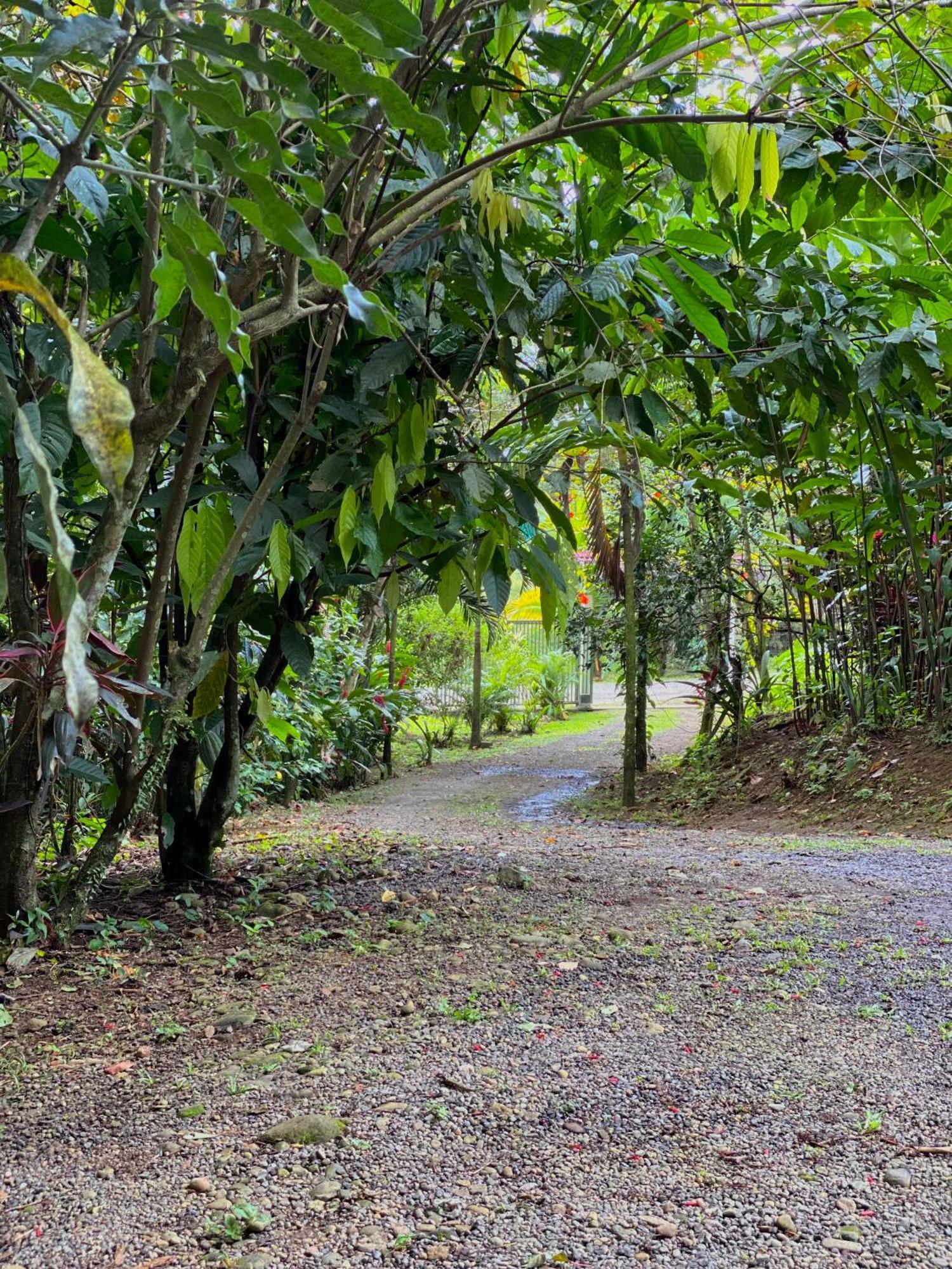 Campo House, De San Carlos * La Fortuna