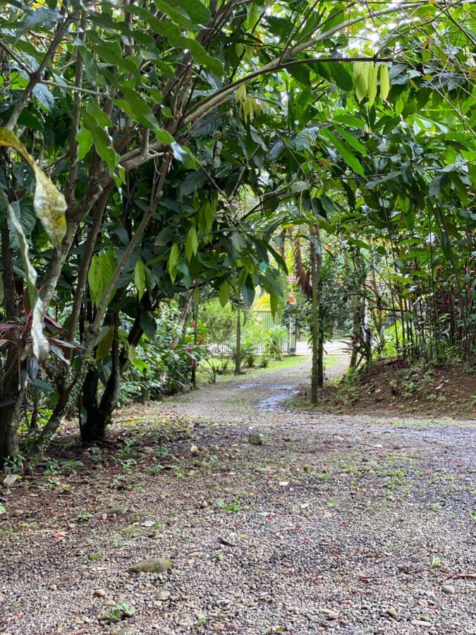 Apartamento Campo House, De San Carlos La Fortuna