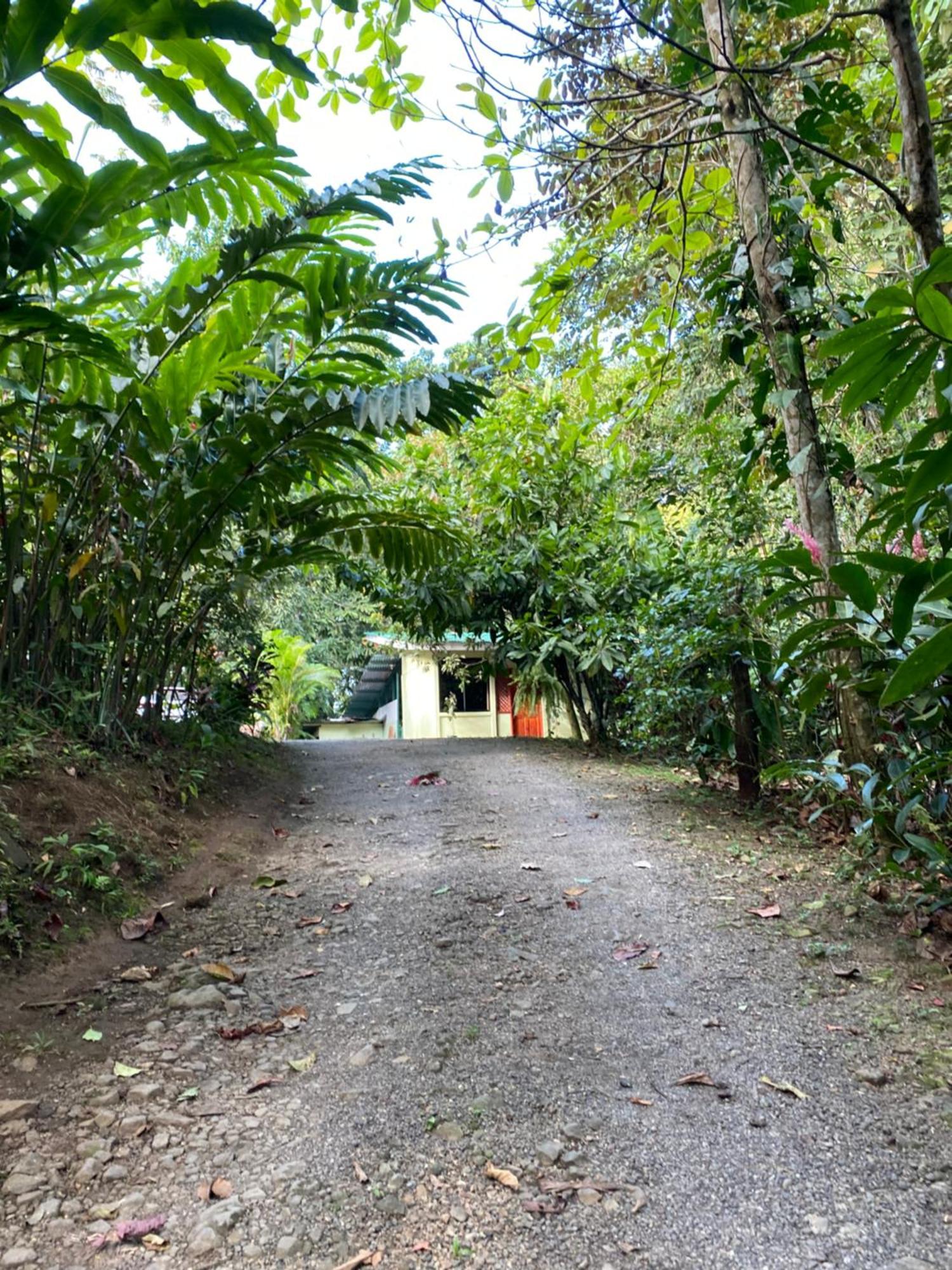 Apartamento Campo House, De San Carlos
